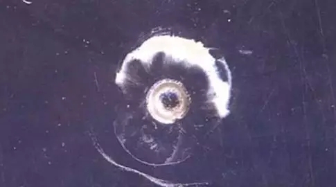 /ueditor/jsp/upload/image/20200422/1587515290761014236.jpg 1.webp (1).jpg