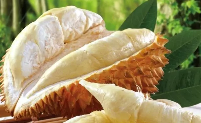 /ueditor/jsp/upload/image/20200213/1581558716034042993.png /ueditor/jsp/upload/image/20200213/1581558716034042993.png